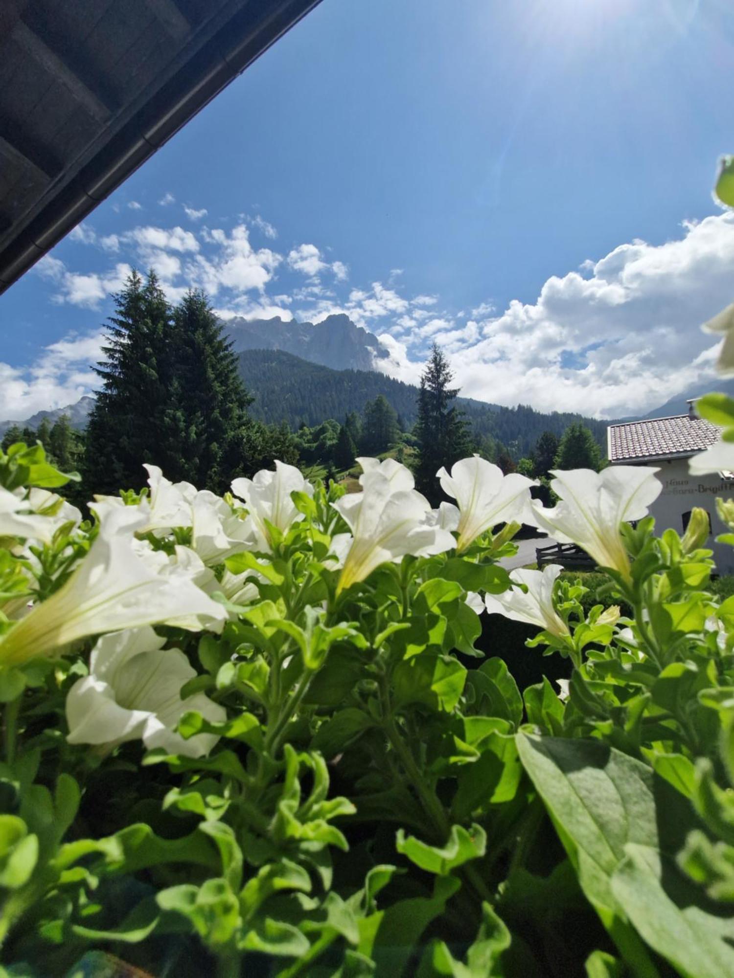Gaestehaus Schoeneweiss 에르발트 외부 사진