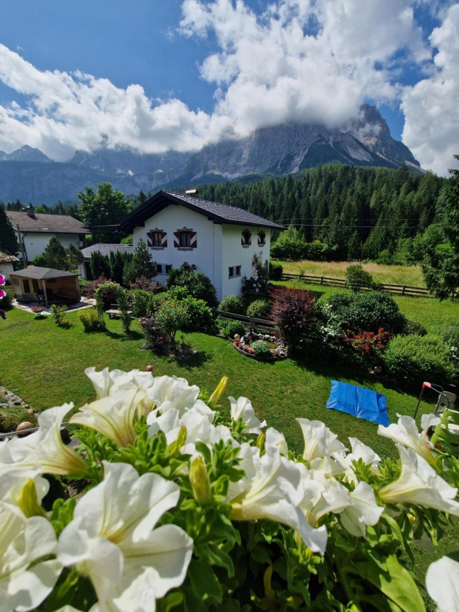Gaestehaus Schoeneweiss 에르발트 외부 사진